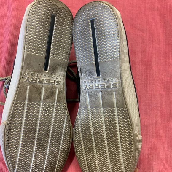 Sperry Top Sider high top sneaker - Picture 9 of 9